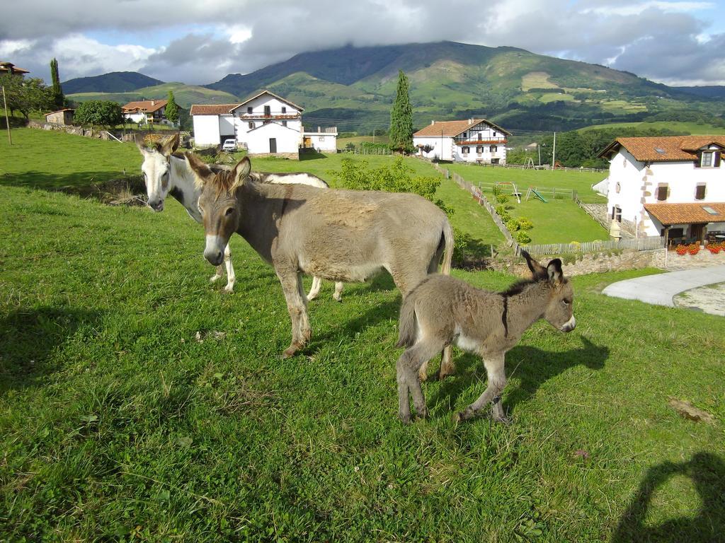 Casa Rural Petisansenea II Zuaztoy de Azpilcueta Esterno foto