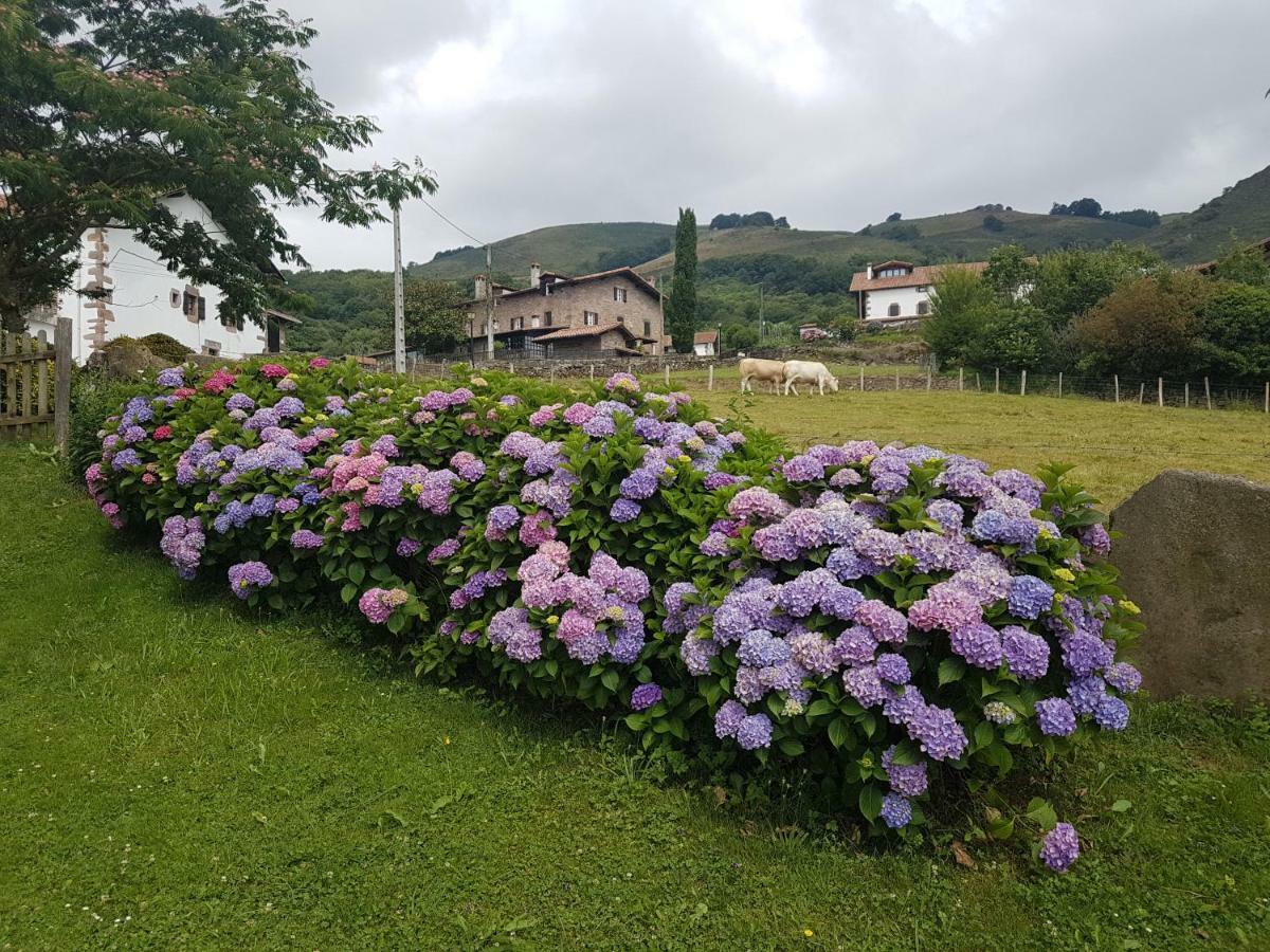Casa Rural Petisansenea II Zuaztoy de Azpilcueta Esterno foto