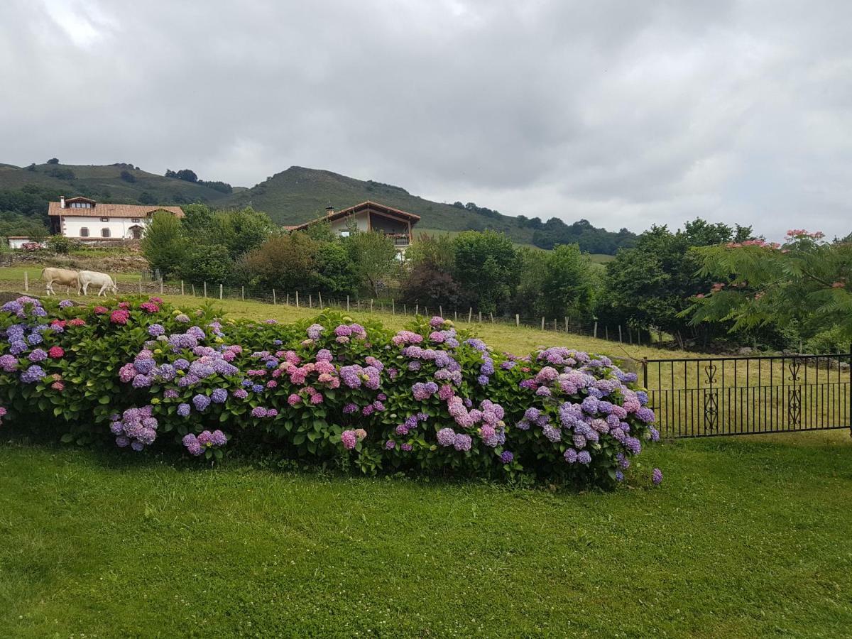 Casa Rural Petisansenea II Zuaztoy de Azpilcueta Esterno foto